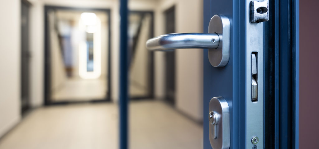 Commercial Door